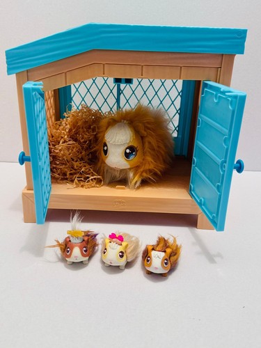 Little live pets guinea - pets,