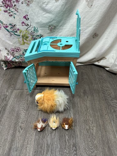 Little live pets - guinea, pig