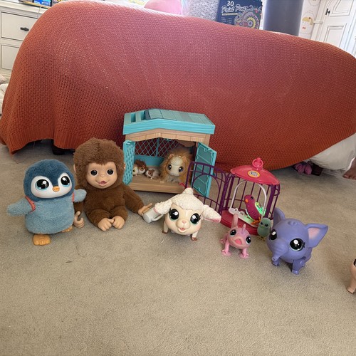 Little live pets - little, bundle