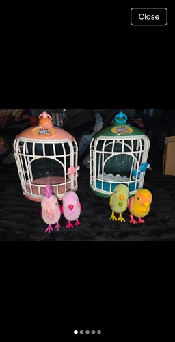 Little live pets - and, 2