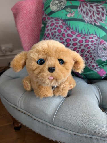Little live pets - live, puppy