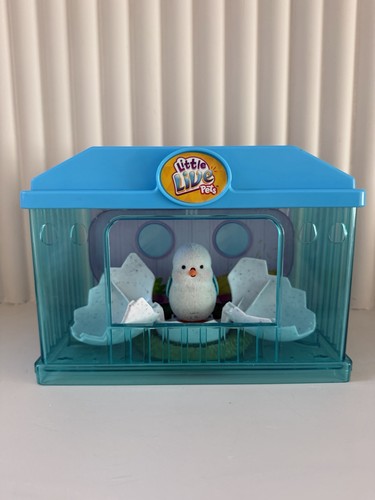 Little live pets bird chick - live,