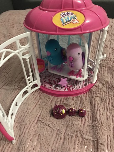 Little live pets - live,