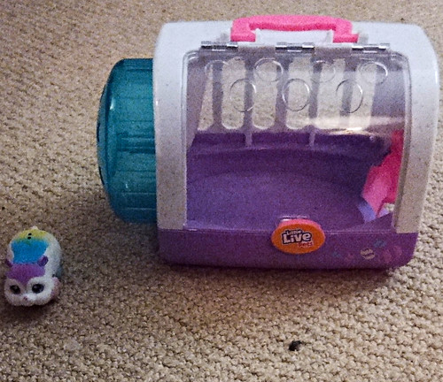 Little live pets - little,